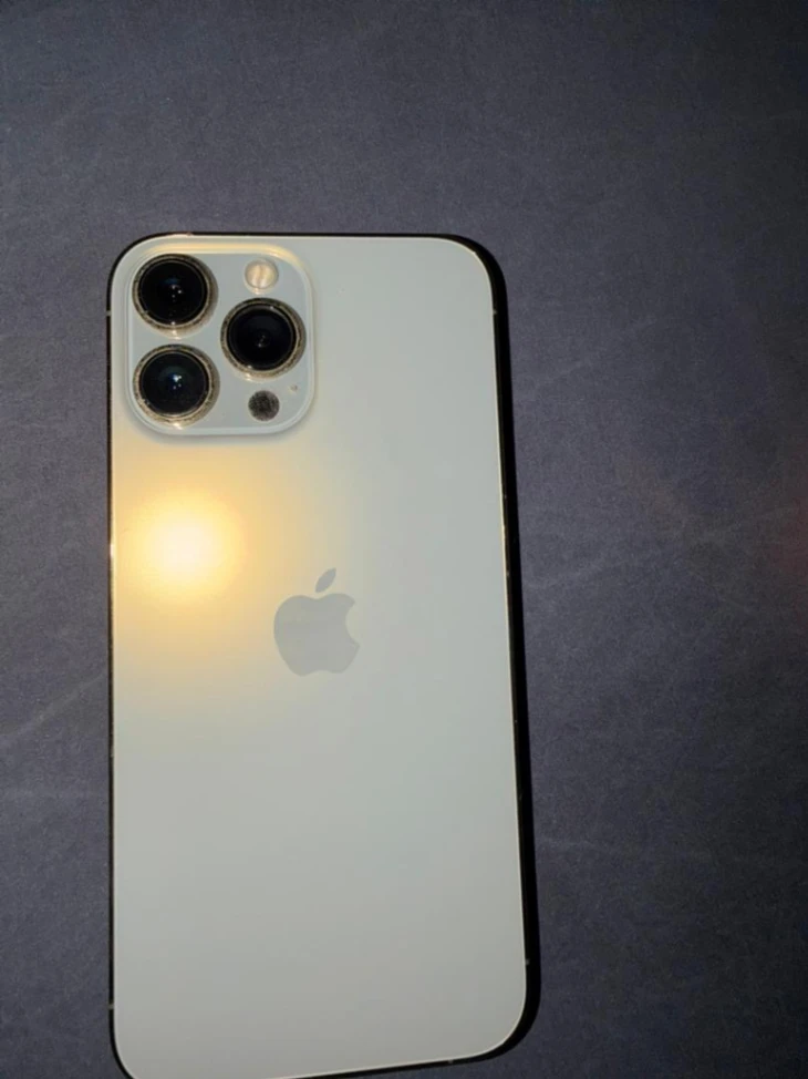 iPhone 13 Pro Max